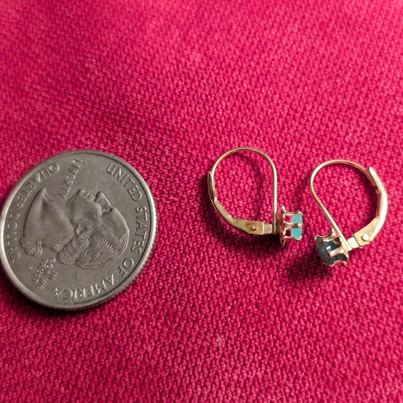 Elegant 10k Gold and Blue Earrings - Picture 7 of 7